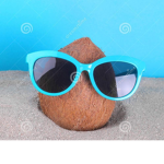 Coconut Development