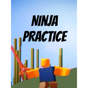 Ninja practice 