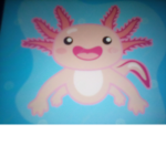Axolotl blanket
