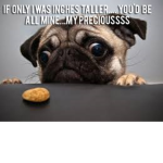 Za nuggie pugs