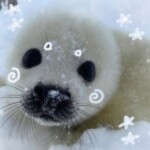 ꒰୭• ˕ •୭ ꒱