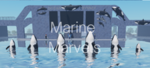 Marine Marvels