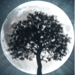 The Moonlight Group101