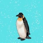 Penguin Hangout!!!