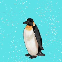 Penguin Hangout!!!