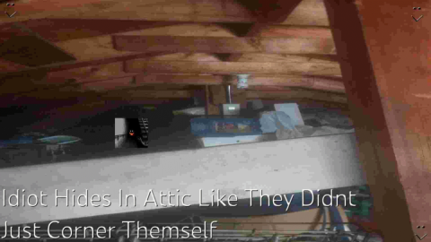 Hide In Attic From John Bob and George Hampleton