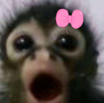 strawberrymonkies
