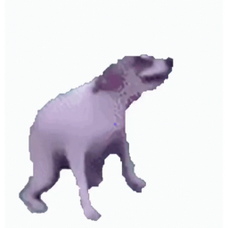 PARTY DOG!!!!