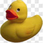 DuckDev