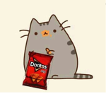 Doritos and Cheetos