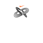 Roblox High School Track and Field Organization