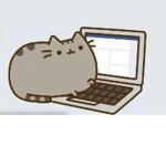 The kitten secretary