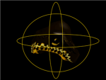 The International Order of Buildmasters in Roblox