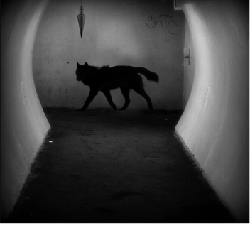 SCP-023 Demonstration 