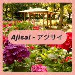 Ajisai - アジサイ