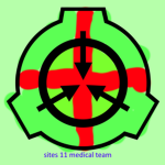 Sites 11 Medical team