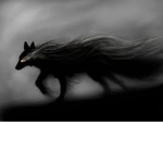Shadow Fox Studios!