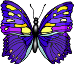 happy buterfly squad