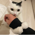 Qqq1111