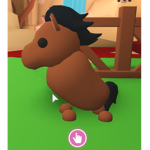 Horse Squad (Nicki's Fan Club)