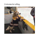 Charlie hockey league
