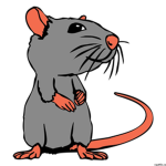 rat pie