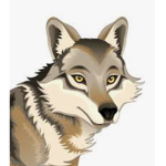 Wolf Studio’s