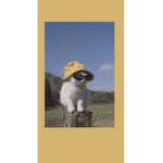 Cup_of_noddles