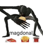 GA followers