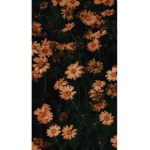 luisa_fofaaaaa021