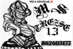 SSC13