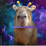 roblox..capybara group