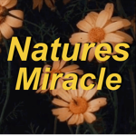 Natures Miracle