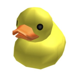 ducks