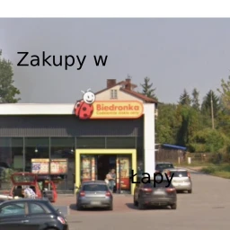 Zakupy w Biedronka icon