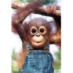 Savage monkeys771