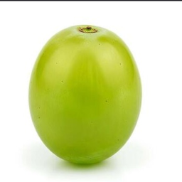 tomato [UNDER DEVELOPMENT!]