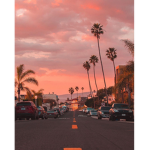 {Vibe Los Angeles}