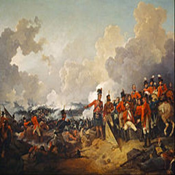 Napoleonic Life