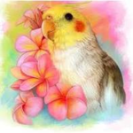 Bird owner tips :D