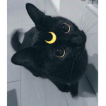 A$ㄒROS