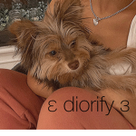 ε diorify з
