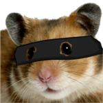 The ninja hamsters