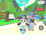 CookieCY
