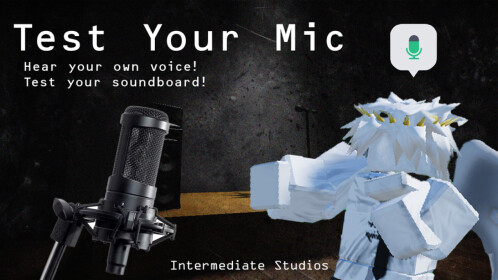 Test Your Mic