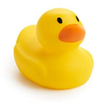 duck squad yes