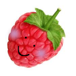 ||Derpy~Rasberries||