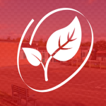 APS | AppleStreet Primary School