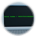 Programmer