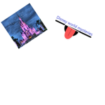 Disney world (Orlando) mysteries
